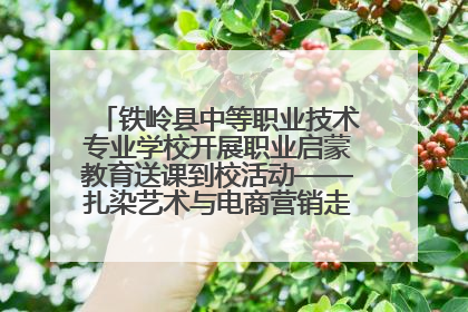 铁岭县中等职业技术专业学校开展职业启蒙教育送课到校活动——扎染艺术与电商营销走进熊官屯镇中心小学