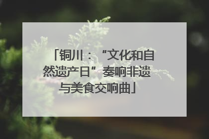 铜川：“文化和自然遗产日”奏响非遗与美食交响曲