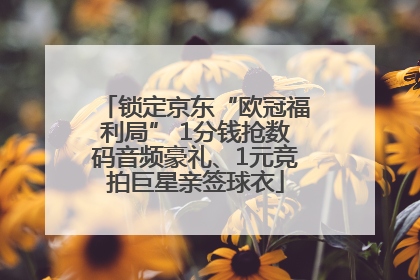 锁定京东“欧冠福利局” 1分钱抢数码音频豪礼、1元竞拍巨星亲签球衣