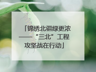 锦绣北疆绿更浓——“三北”工程攻坚战在行动