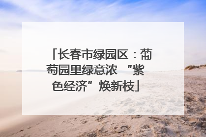 长春市绿园区：葡萄园里绿意浓 “紫色经济”焕新枝
