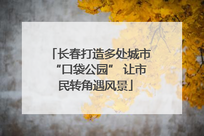 长春打造多处城市“口袋公园” 让市民转角遇风景
