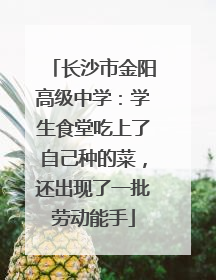 长沙市金阳高级中学：学生食堂吃上了自己种的菜，还出现了一批劳动能手
