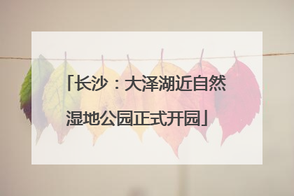 长沙：大泽湖近自然湿地公园正式开园