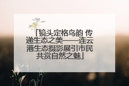 镜头定格鸟韵 传递生态之美——连云港生态摄影展引市民共赏自然之魅
