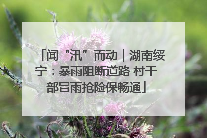 闻“汛”而动｜湖南绥宁：暴雨阻断道路 村干部冒雨抢险保畅通