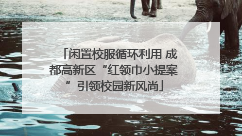 闲置校服循环利用 成都高新区“红领巾小提案”引领校园新风尚