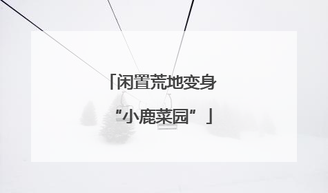 闲置荒地变身“小鹿菜园”