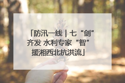 防汛一线｜七“剑”齐发 水利专家“智”援湘西北抗洪流