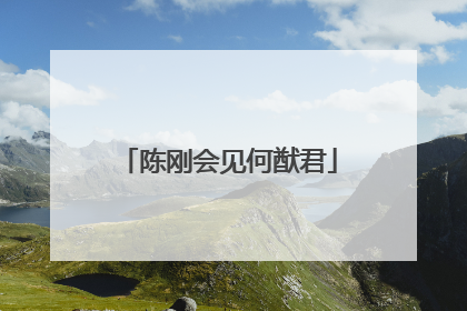 陈刚会见何猷君