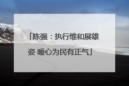 陈强：执行维和展雄姿 暖心为民有正气