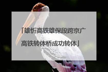 雄忻高铁雄保段跨京广高铁转体桥成功转体