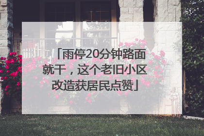 雨停20分钟路面就干，这个老旧小区改造获居民点赞