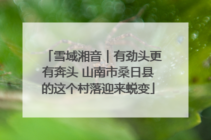 雪域湘音｜有劲头更有奔头 山南市桑日县的这个村落迎来蜕变