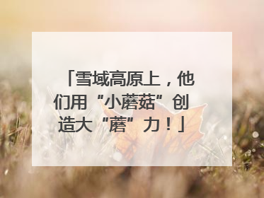 雪域高原上，他们用“小蘑菇”创造大“蘑”力！