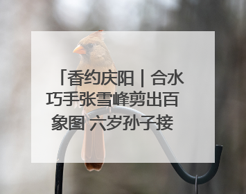 香约庆阳｜合水巧手张雪峰剪出百象图 六岁孙子接力非遗传承