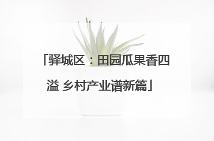 驿城区：田园瓜果香四溢 乡村产业谱新篇