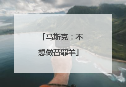 马斯克：不想做替罪羊
