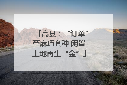高县：“订单”苎麻巧套种 闲置土地再生“金”