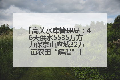 高关水库管理局：46天供水5535万方 力保京山应城32万亩农田“解渴”