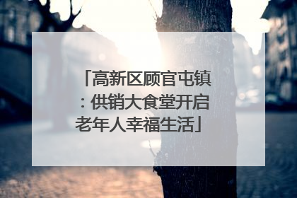 高新区顾官屯镇：供销大食堂开启老年人幸福生活
