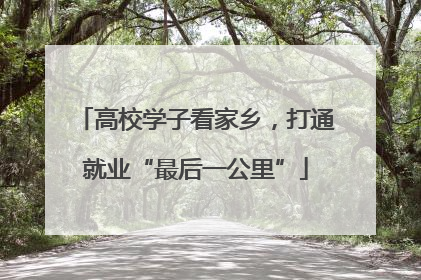 高校学子看家乡，打通就业“最后一公里”