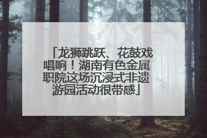 龙狮跳跃、花鼓戏唱响！湖南有色金属职院这场沉浸式非遗游园活动很带感