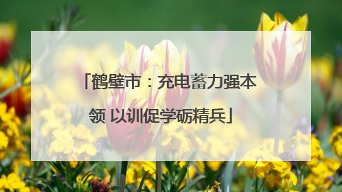 鹤壁市：充电蓄力强本领 以训促学砺精兵