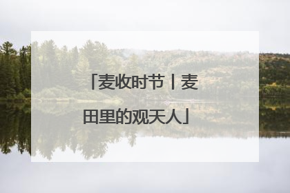 麦收时节丨麦田里的观天人