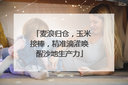 麦浪归仓，玉米接棒，精准滴灌唤醒沙地生产力