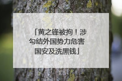 黄之锋被拘！涉勾结外国势力危害国安及洗黑钱