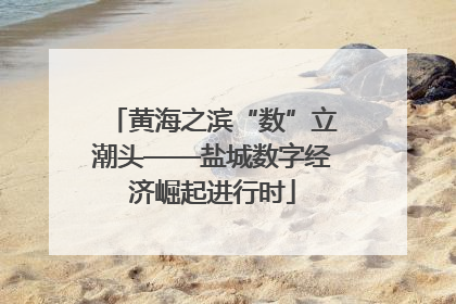 黄海之滨“数”立潮头——盐城数字经济崛起进行时