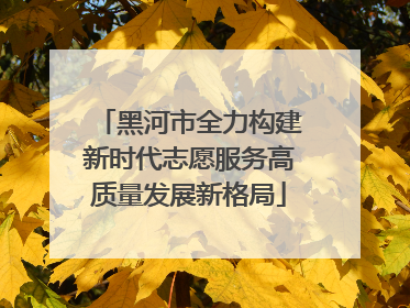 黑河市全力构建新时代志愿服务高质量发展新格局