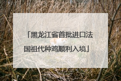 黑龙江省首批进口法国祖代种鸡顺利入境