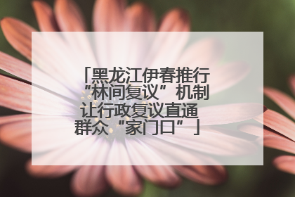 黑龙江伊春推行“林间复议”机制 让行政复议直通群众“家门口”