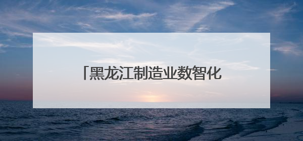 黑龙江制造业数智化转型跑出“加速度”