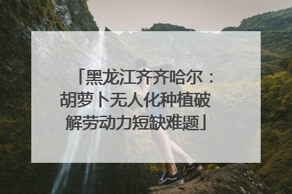 黑龙江齐齐哈尔：胡萝卜无人化种植破解劳动力短缺难题