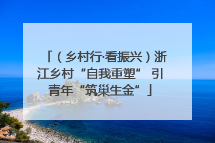 （乡村行·看振兴）浙江乡村“自我重塑” 引青年“筑巢生金”