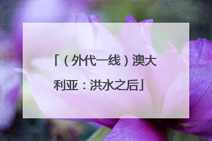 （外代一线）澳大利亚：洪水之后