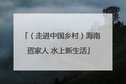 （走进中国乡村）海南疍家人 水上新生活