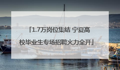 1.7万岗位集结 宁夏高校毕业生专场招聘火力全开