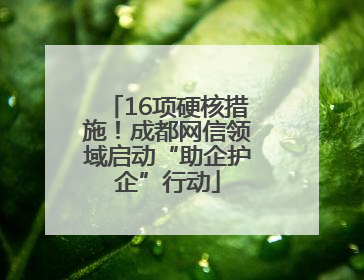 16项硬核措施！成都网信领域启动“助企护企”行动