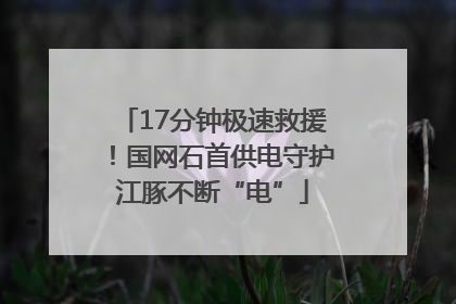 17分钟极速救援！国网石首供电守护江豚不断“电”