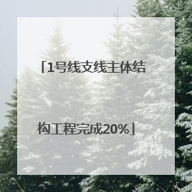 1号线支线主体结构工程完成20%