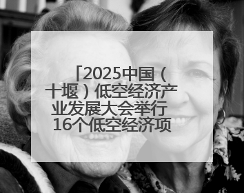 2025中国（十堰）低空经济产业发展大会举行 16个低空经济项目落户车城
