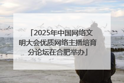 2025年中国网络文明大会优质网络主播培育分论坛在合肥举办