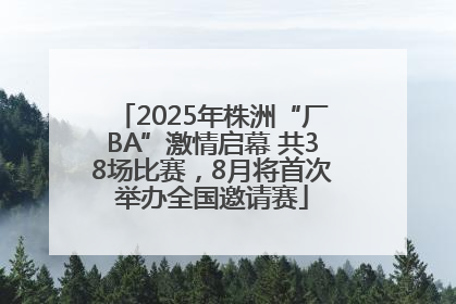 2025年株洲“厂BA”激情启幕 共38场比赛，8月将首次举办全国邀请赛