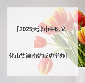 2025天津市中医文化市集津南站成功举办