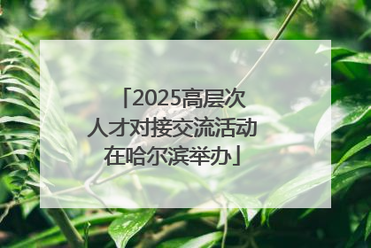 2025高层次人才对接交流活动在哈尔滨举办