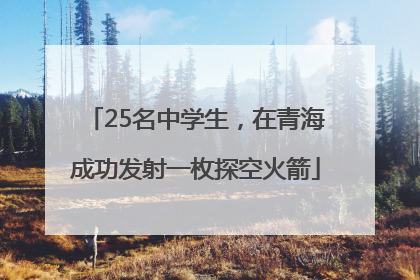 25名中学生，在青海成功发射一枚探空火箭